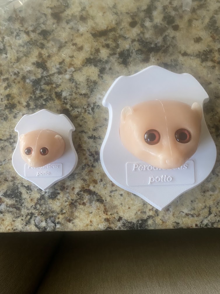 potto